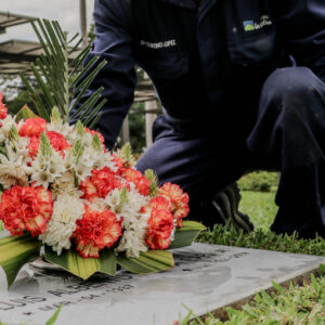 Servicios Complementarios, Jardines la Colina