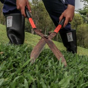 servicios de mantenimiento jardines la colina